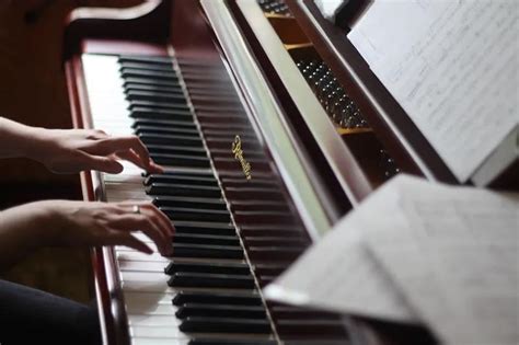 成人从零基础开始学钢琴怎么学?看完幡然醒悟!|学琴记