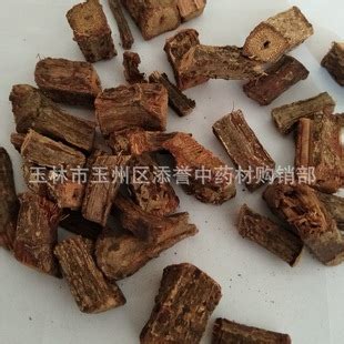 宽根藤图片