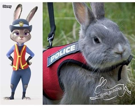 可爱的兔警官_linsay-站酷ZCOOL