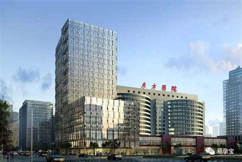 上海三代试管医院最新名单和成功率 - 知乎