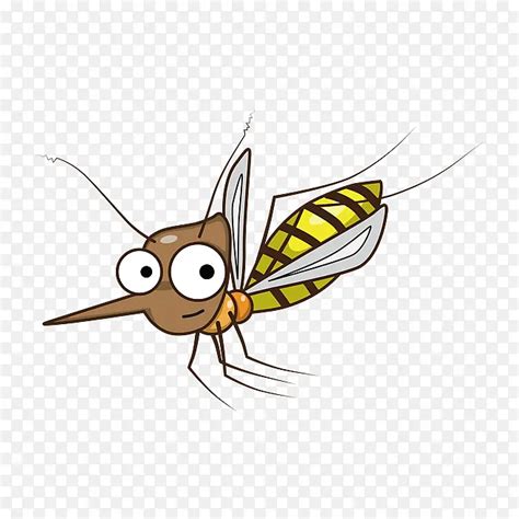 蚊子素材-蚊子图片-蚊子素材图片下载-觅知网