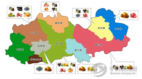 县农办（农业局）围绕“一村一品”发展水果产业实现双赢_平阳新闻网