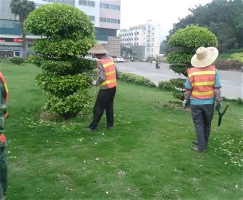 区绿化所以高质量的绿化精品工程回应广大群众的期待_蚌埠市龙子湖区人民政府