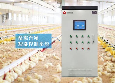 亚洲最大蛋鸡养殖项目进展顺利(图)_综合新闻_唐山环渤海新闻网