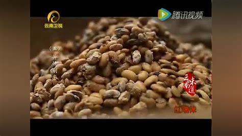 云南美食纪录片：云南味道天下一绝_腾讯视频