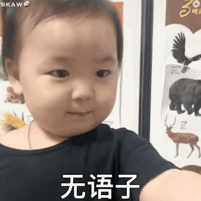 温温表情包合集图片
