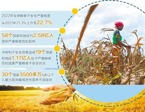 联合国粮农组织：全球粮食危机进一步加剧_新华报业网