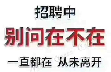 信阳淮滨：寒冬招工暖人心 助力企业共发展