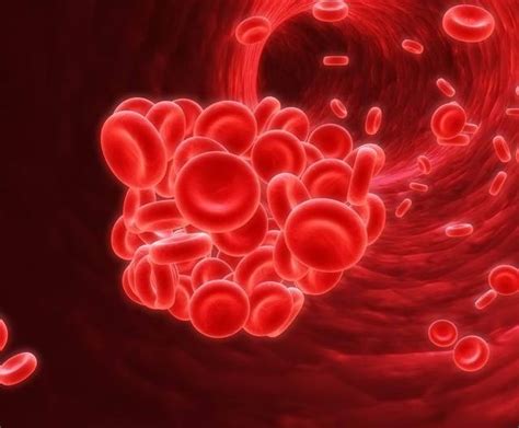 血浆粘度偏低的原因是什么 血浆粘度偏低的危害有哪些_中康体检网