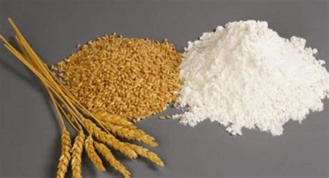 你知道面粉是一种什么粉吗？_湖北稼轩康农业发展股份有限公司