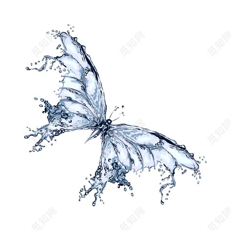 水蝶图片