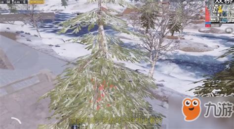 《绝地求生刺激战场》雪地地图上树怎么上 雪地地图上树技巧分享_九游手机游戏