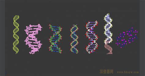 3D动画演示基因工程之旅：基因重组技术过程