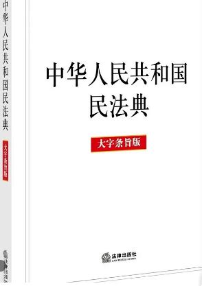 中华人民共和国民法典 大字条旨版