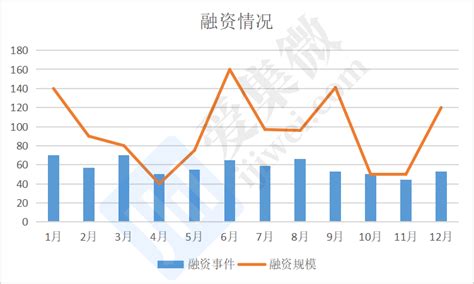 跑赢全球IPO、募资金额数量登顶、十年过会之最！A股市场还有什么新变化？ - 行业资讯 - 深圳大象投资顾问有限公司