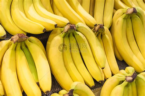 小香蕉是什么品种 - 农敢网
