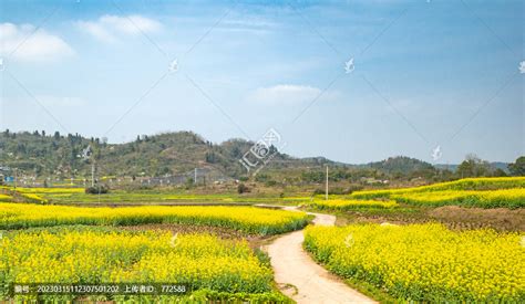 宣汉县西区规划,未来,新区_大山谷图库