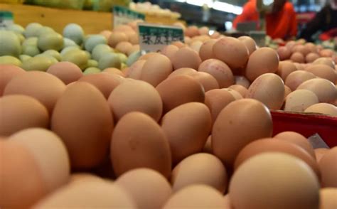 鸡蛋价格一个月涨近20%，目前鸡蛋价格是多少，鸡蛋价上涨因素及影响是什么- 今日头条_赢家财富网