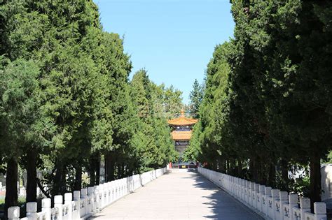 景仰园骨灰林景观之凤凰园墓区-北京公墓网