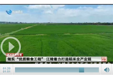 做实“优质粮食工程” 江陵着力打造稻米全产业链_荆州新闻网_荆州权威新闻门户网站