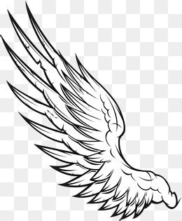 手绘的天使羽翼矢量插图图片-矢量的手绘天使羽翼素材-高清图片-摄影照片-寻图免费打包下载