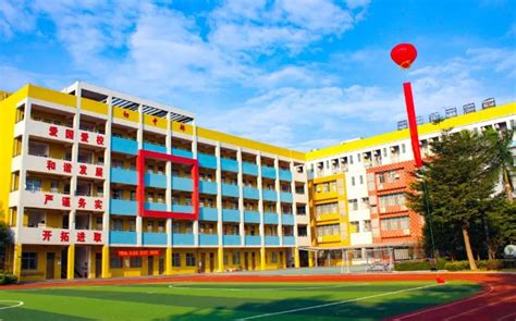 2021年东莞市各镇区公办中小学学位划分，家长们可以收藏起来 - 知乎