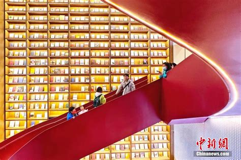 南京一书店设计独特成新晋“网红打卡点”-新闻中心-温州网