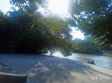 福州流花溪公园：落花、流水、白鹭飞 - 知乎