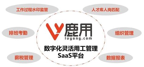 首届《智能矿山》理事会、特约编辑年会暨煤矿智能化建设研讨会成功召开-绿色矿山网—绿色矿山、智能矿山建设专业服务门户网站