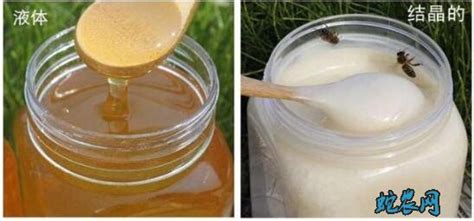 那到底怎么辨别真假蜂蜜和麦芽糖呢？-辨别真假蜂蜜麦芽糖
