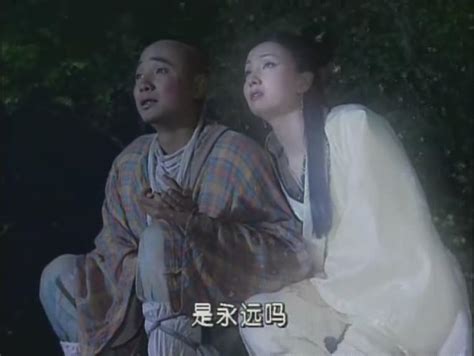 春光灿烂猪八戒（2000年徐峥主演电视剧） - 搜狗百科