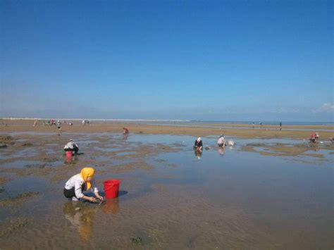 石老人退潮赶海地点,石老人赶海最佳时间,青岛石老人赶海哪里好_大山谷图库