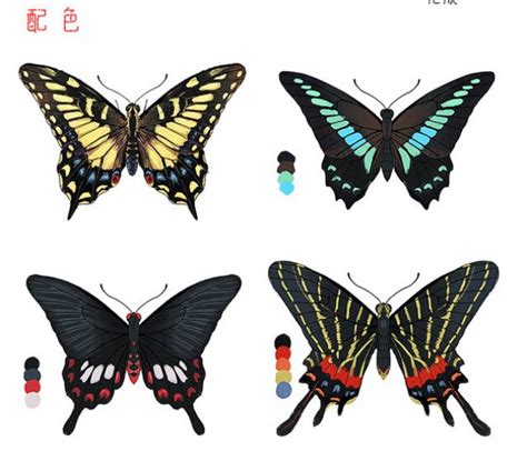 蝴蝶|商业插画|插画|三木焱圭 - 原创设计作品 - 站酷 (ZCOOL)
