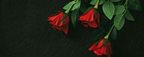 干枯玫瑰花素材图片免费下载-千库网
