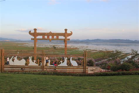 翩跹起舞！贵州威宁草海迎来越冬黑颈鹤-图片频道