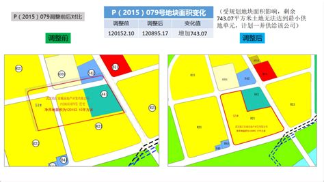 武汉市国土资源和规划局举行武汉市土地级别与基准地价更新（2010）全国专家论证会-武汉市自然资源和规划局