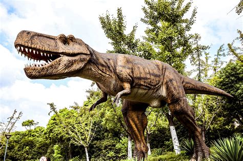 2023北碚恐龙遗址游玩攻略,北碚恐龙化石遗址真实地址己...【去哪儿攻略】