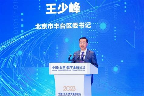 王少峰：紧抓金融与科技融合发展的新机遇，大力发展数字金融_中国电子银行网