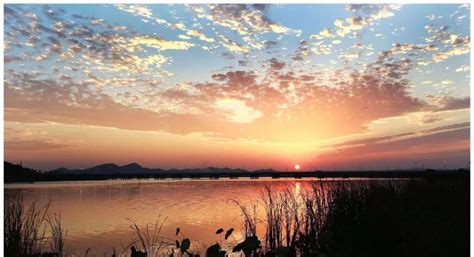 作为百湖之市，武汉这九大湿地公园你去过没？游玩攻略来咯！