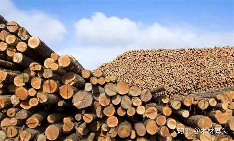 预计到2020年，中国木材需求量将达到8亿立方米 - 知乎