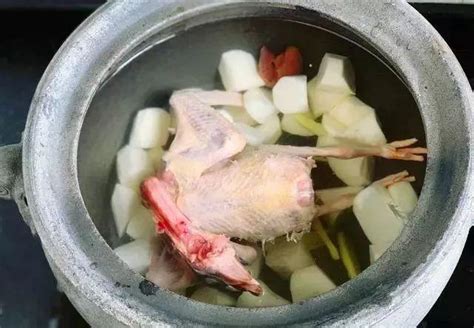 炖鸽子汤时，鸽子到底要不要焯水，秘诀看这里，最正确的做法