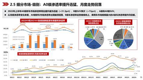 2021年1-4月中国新能源汽车行业月度报告（完整版）-中商情报网
