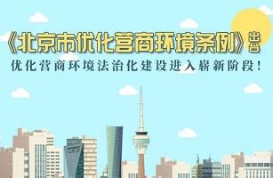 北京市优化营商环境条例PPT_word文档在线阅读与下载_免费文档