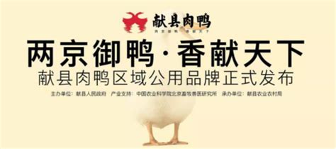 “献县肉鸭”区域公用品牌发布会在献县召开_中国食品报社品牌农业战略推进中心