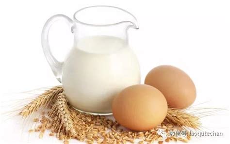 十大国产羊奶粉排行榜10强再刷新，揭秘宜品蓓康僖入围原因 - 中国焦点日报网