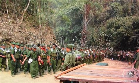缅甸果敢同盟军女兵大量真实照片曝光_手机凤凰网