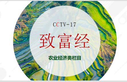 分析在中央电视台农业农村频道CCTV17栏目各时段投放广告的优势 - 知乎