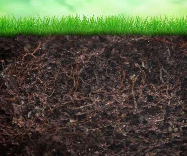 如何分辨土壤酸碱性？ - 土壤改良 - 新农资360网|土壤改良|果树种植|蔬菜种植|种植示范田|品牌展播|农资微专栏
