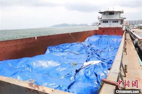 广东汕尾海警局查获走私冻品约190吨 案值约1100万元