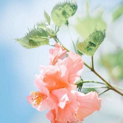 发财头像女生网名温柔